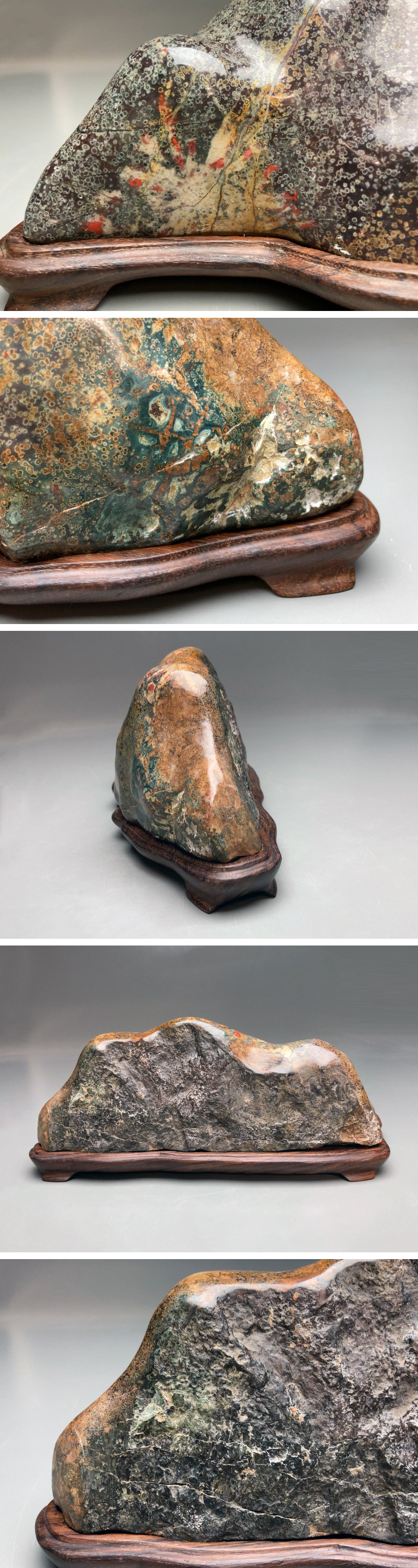 【希少・美石】菊花石 菊紋石 白菊 802g 天然石 水石 盆石 盆景 鉱物 希少・美石】菊花石 菊紋石 白菊 802g 天然石 水石 盆石 盆景 鉱物