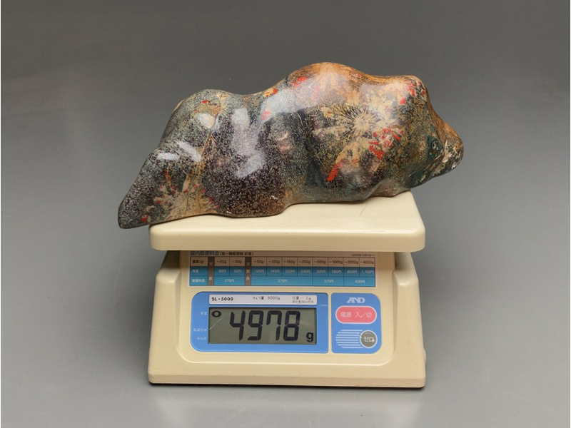 11n742【白蓮】菊花石 台座付 重量4978g 鑑賞石/紋石