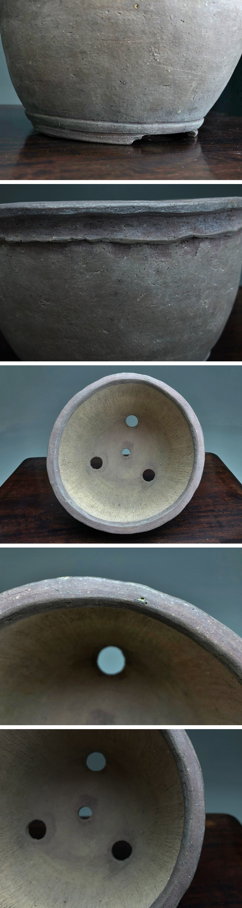 n976 在銘「富舟」丸鉢 常滑 盆栽鉢 和鉢 盆器/樹盆【白蓮】05