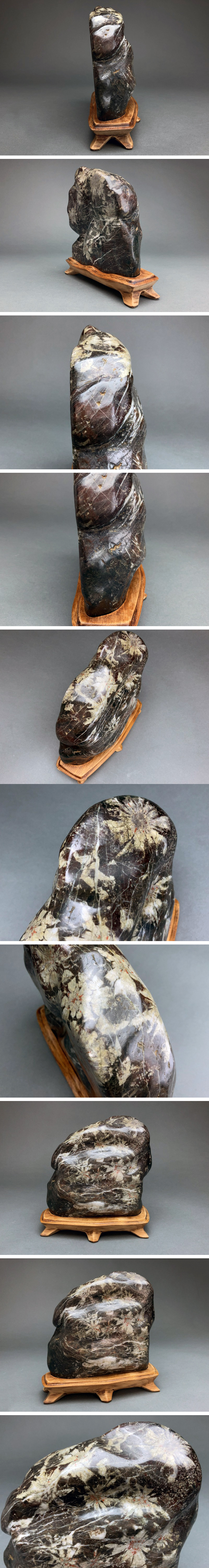 水石 梅花石?菊花石? 約380g 自然石 天然石 木製専用台座付き 水石 梅花石?菊花石? 約380g 自然石 天然石 木製専用台座付き